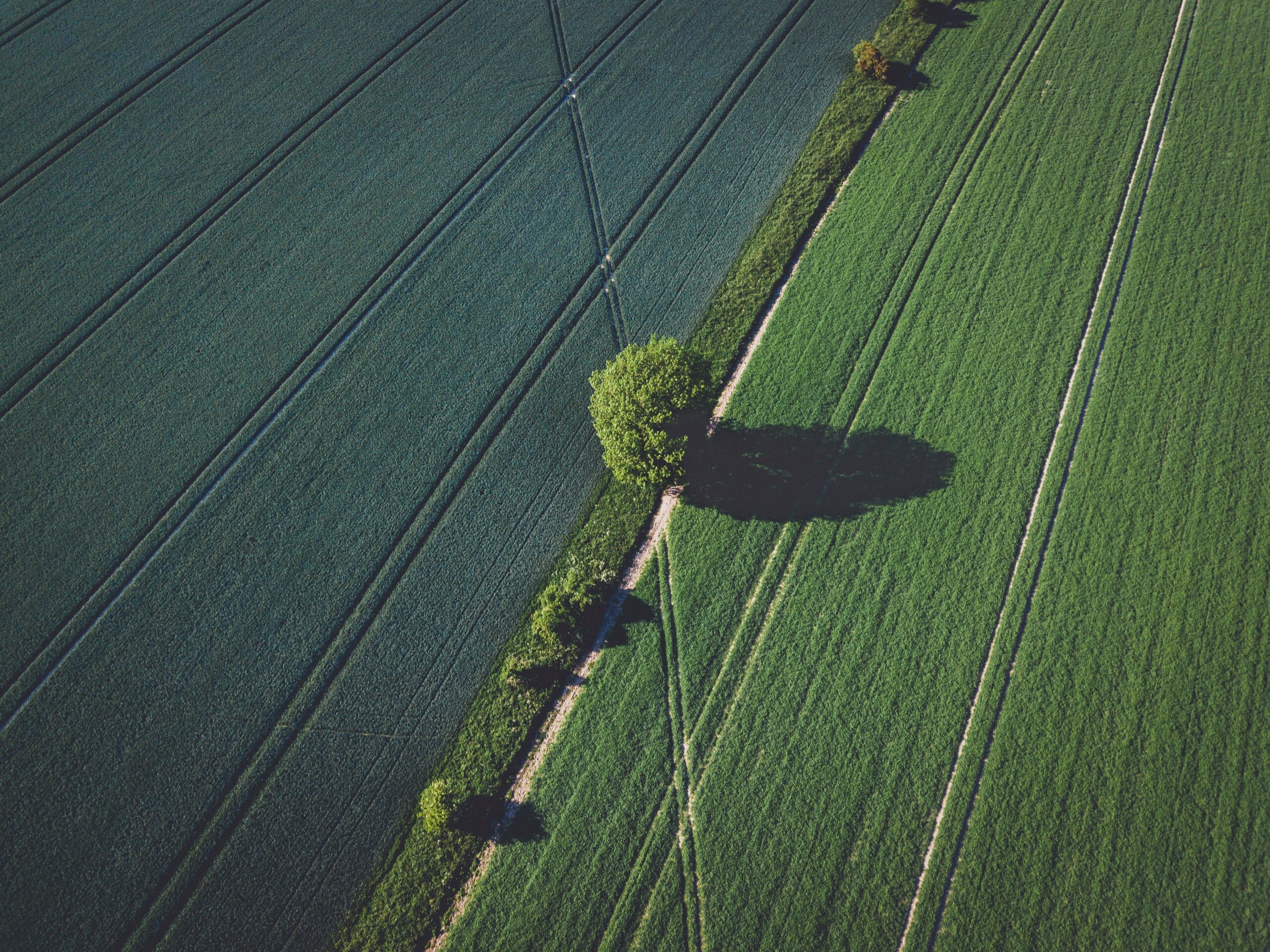 Audituoti AB „INVL Baltic Farmland“ 2023 m. rezultatai