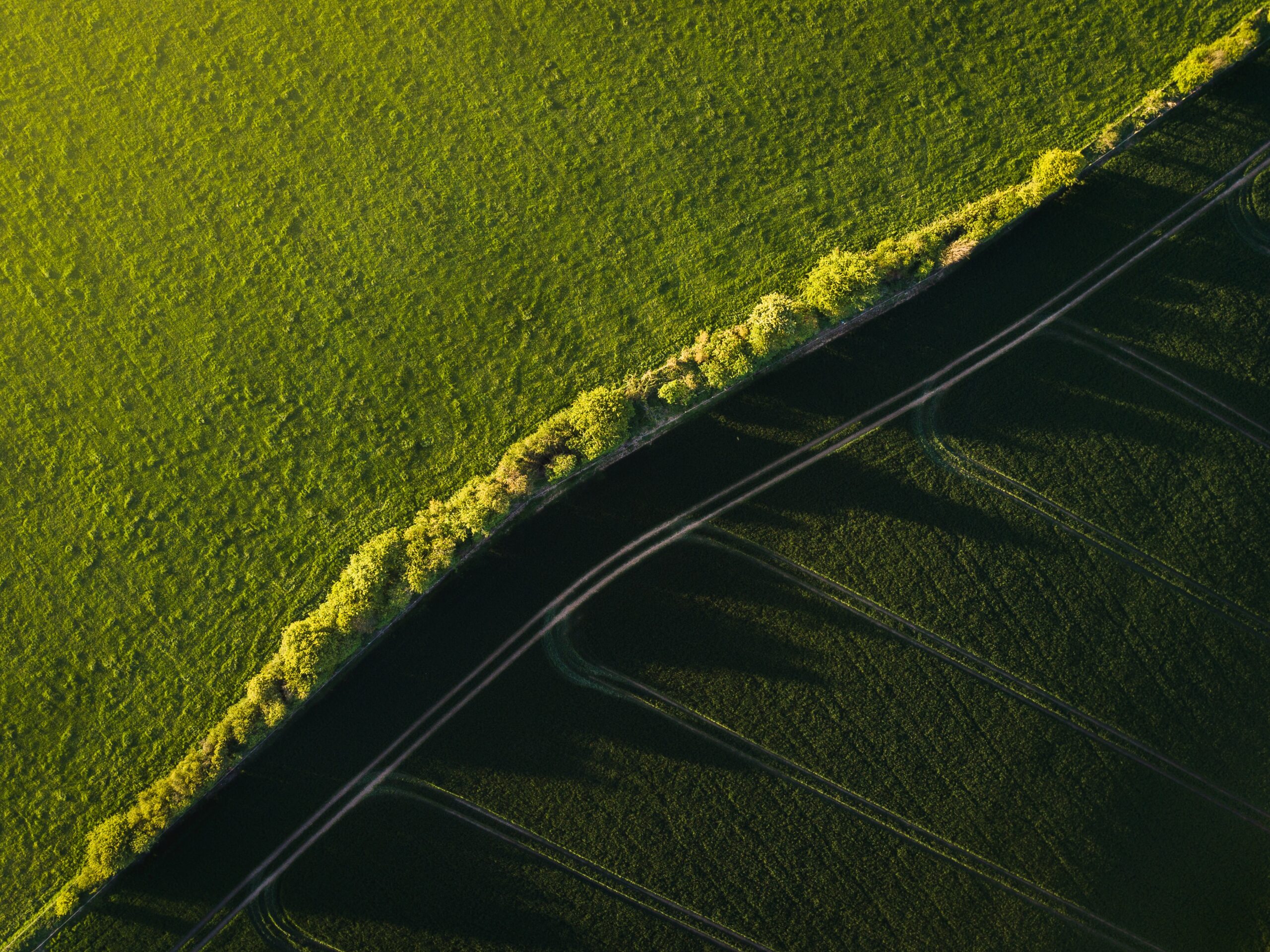 AB „INVL Baltic Farmland“ neeilinio visuotinio akcininkų susirinkimo sprendimai