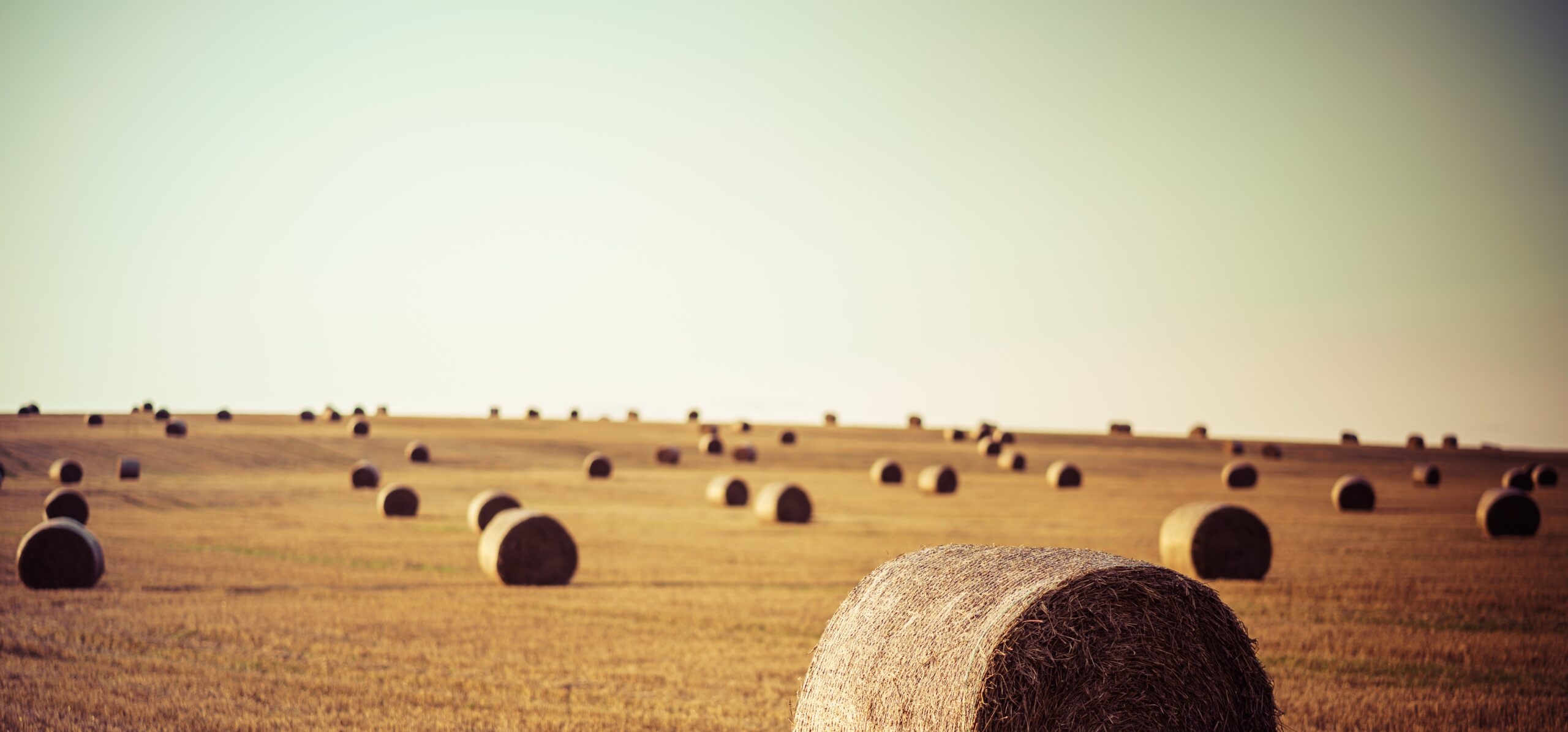 AB „INVL Baltic Farmland“ neeilinio visuotinio akcininkų susirinkimo sušaukimas ir sprendimų projektai susirinkimo darbotvarkės klausimais