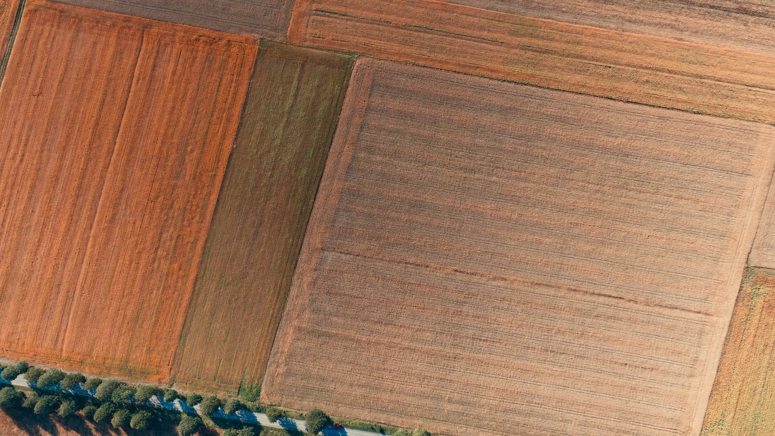 AB „INVL Baltic Farmland“ 2024 m. devynių mėnesių neaudituota tarpinė informacija
