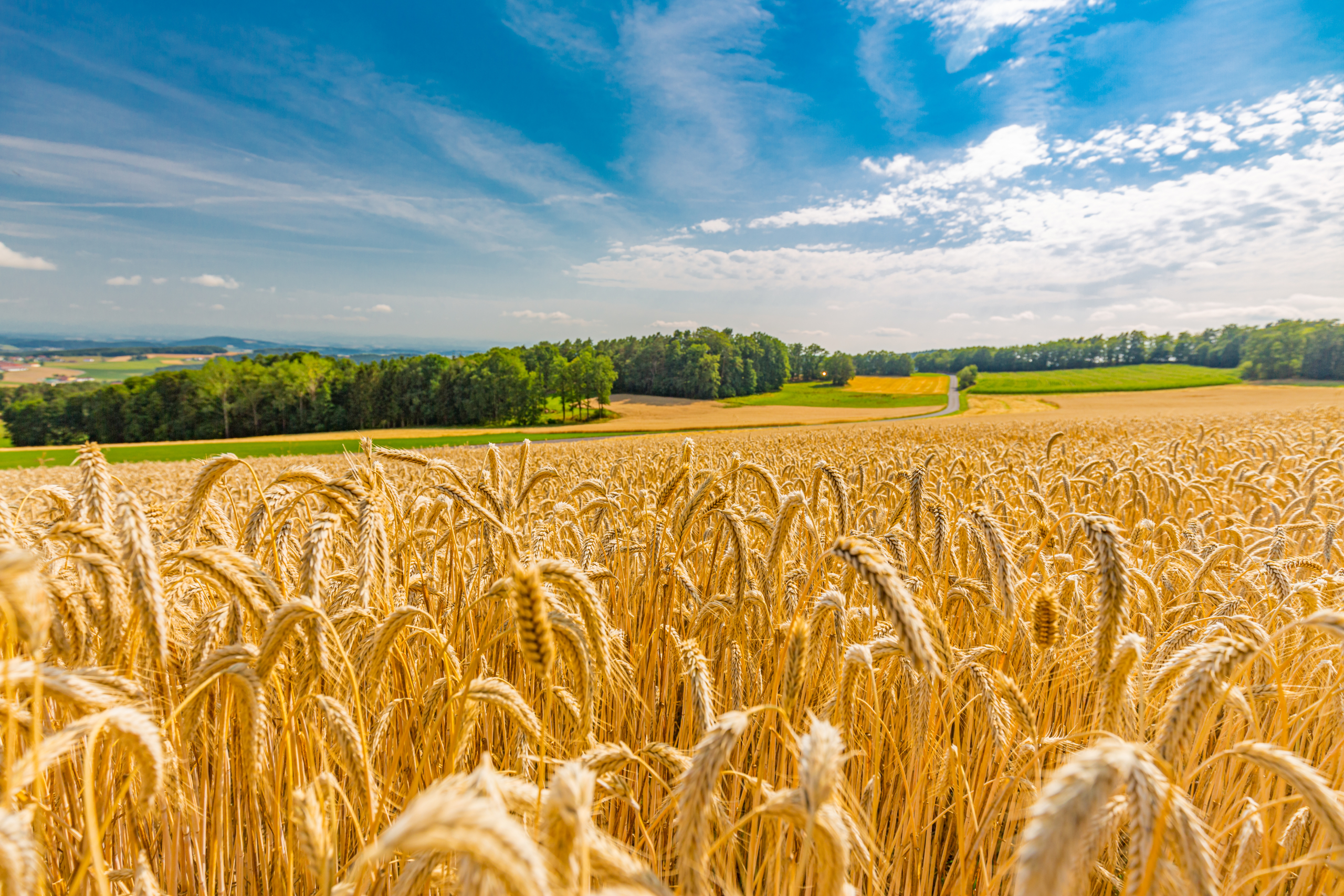 AB „INVL Baltic Farmland“ 2023 m. 6 mėn. neaudituoti veiklos rezultatai