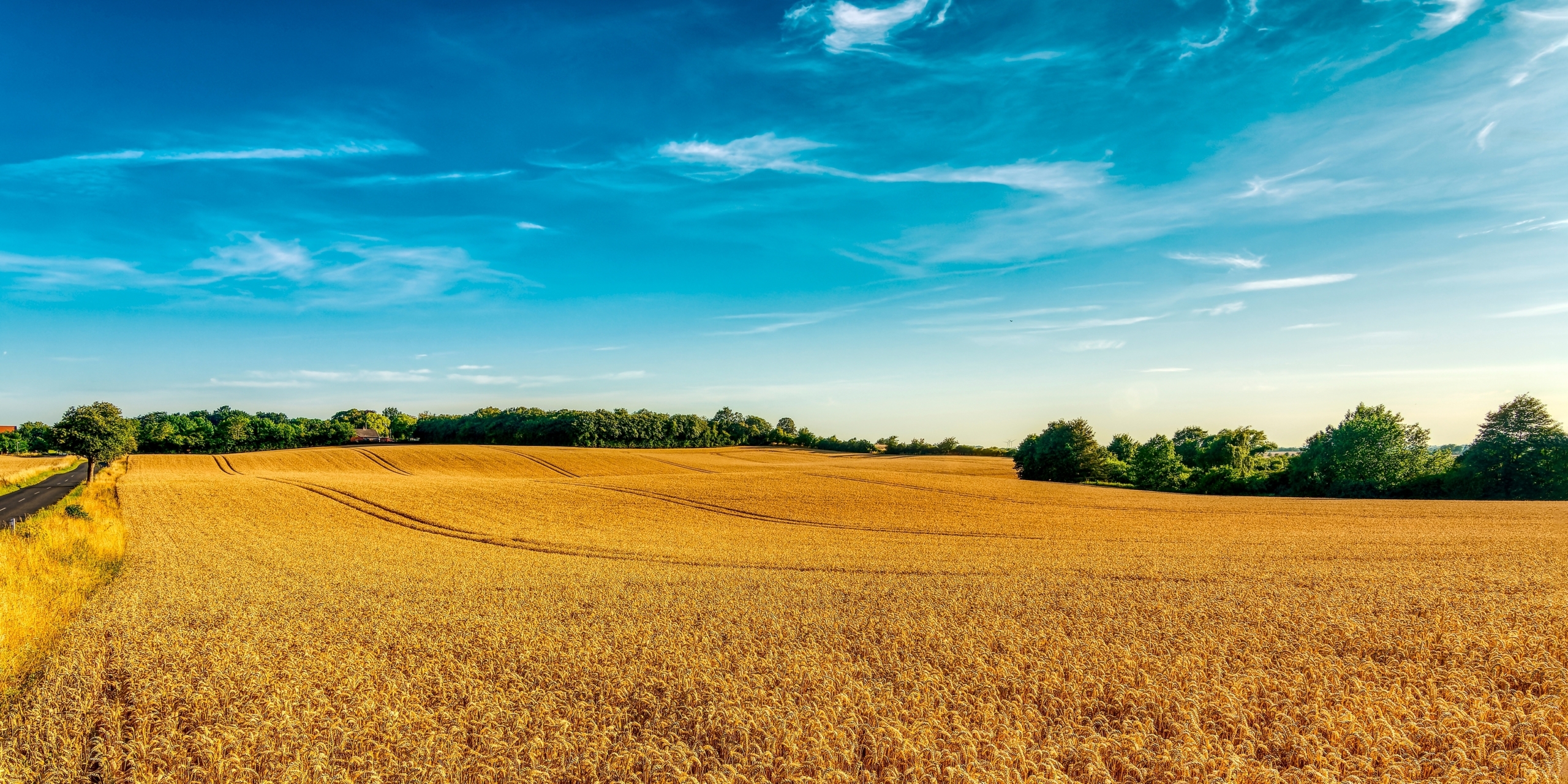 „INVL Baltic Farmland“ per devynis mėnesius uždirbo 315 tūkst. eurų grynojo pelno