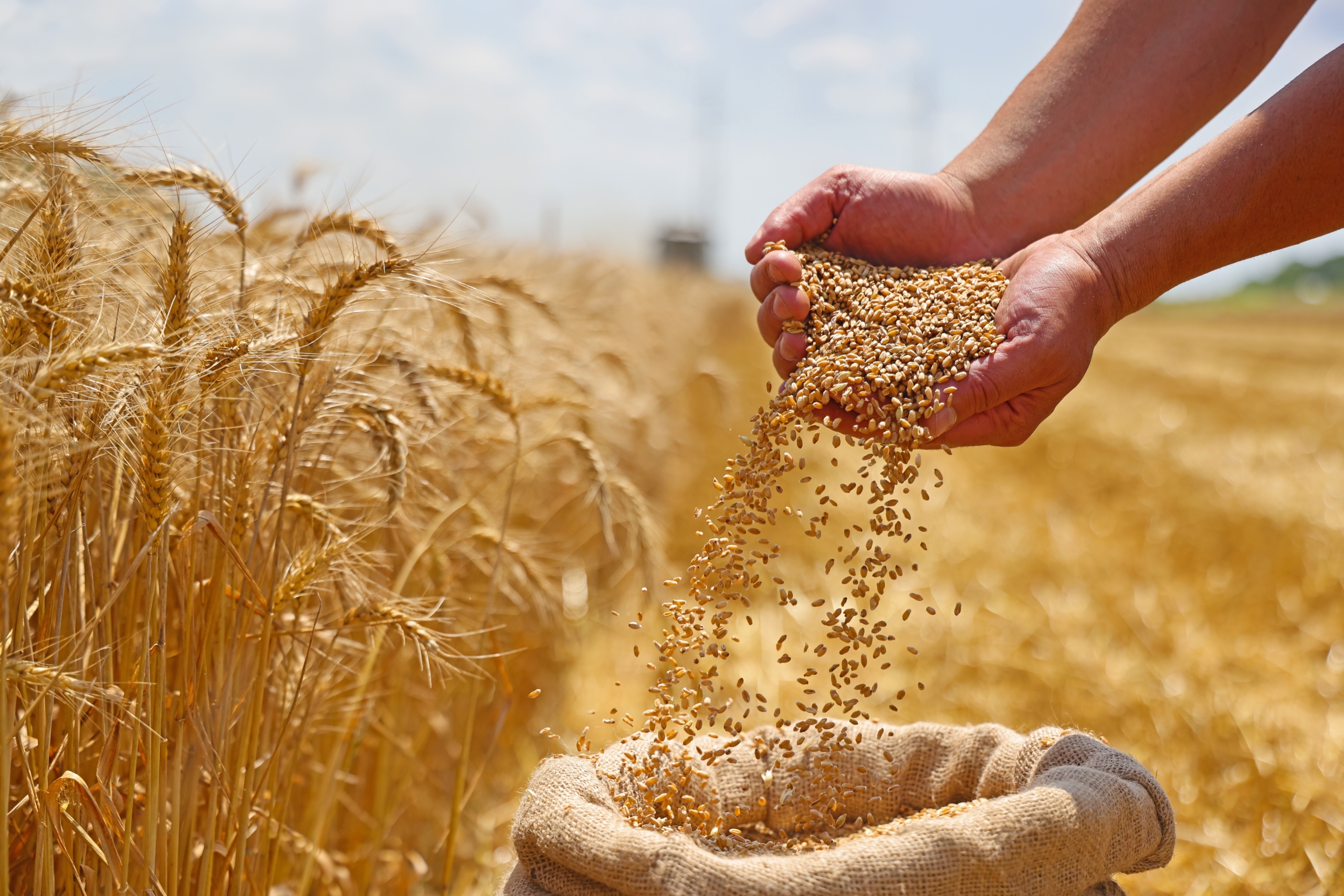 „INVL Baltic Farmland“ pirmąjį pusmetį uždirbo 226  tūkst. eurų grynojo pelno